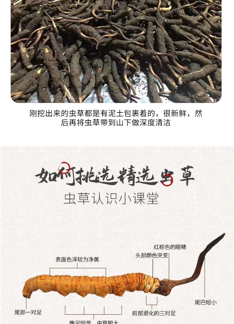 直播電商為發(fā)展注入“云動力”(圖1)